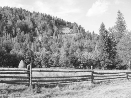 Rolling hills of Lower Beskids, Lemkivshchyna in present-day Poland